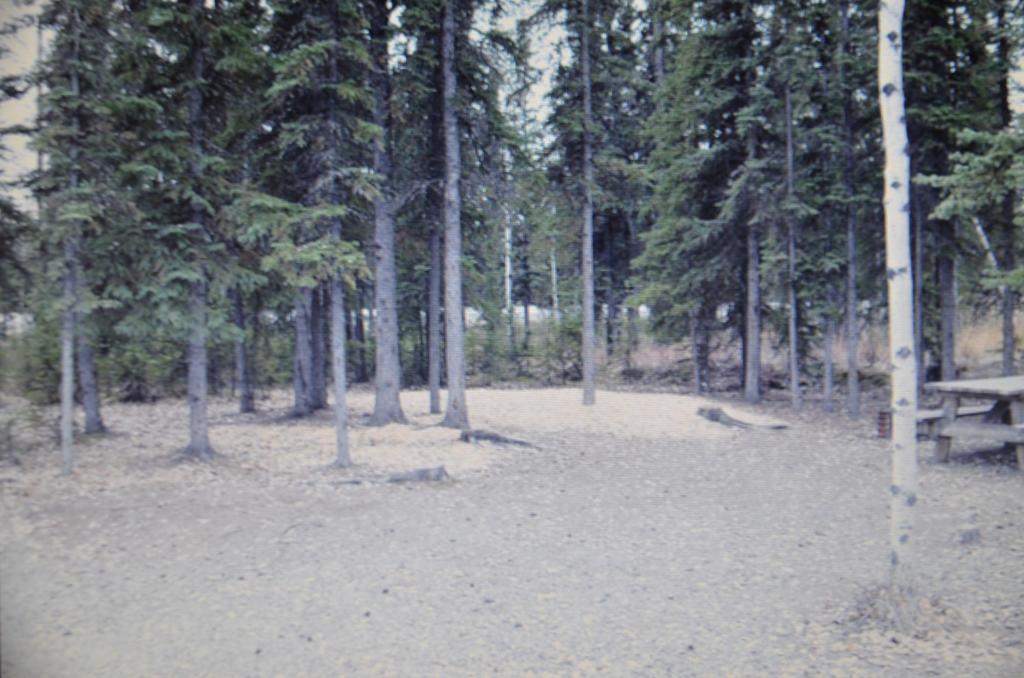 Tok Rv Village And Cabins Chambre photo